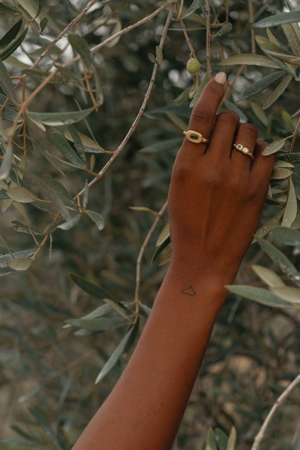 Hand with gold trove rings on an olive tree branch, featuring a peridot and sapphire and white diamond.